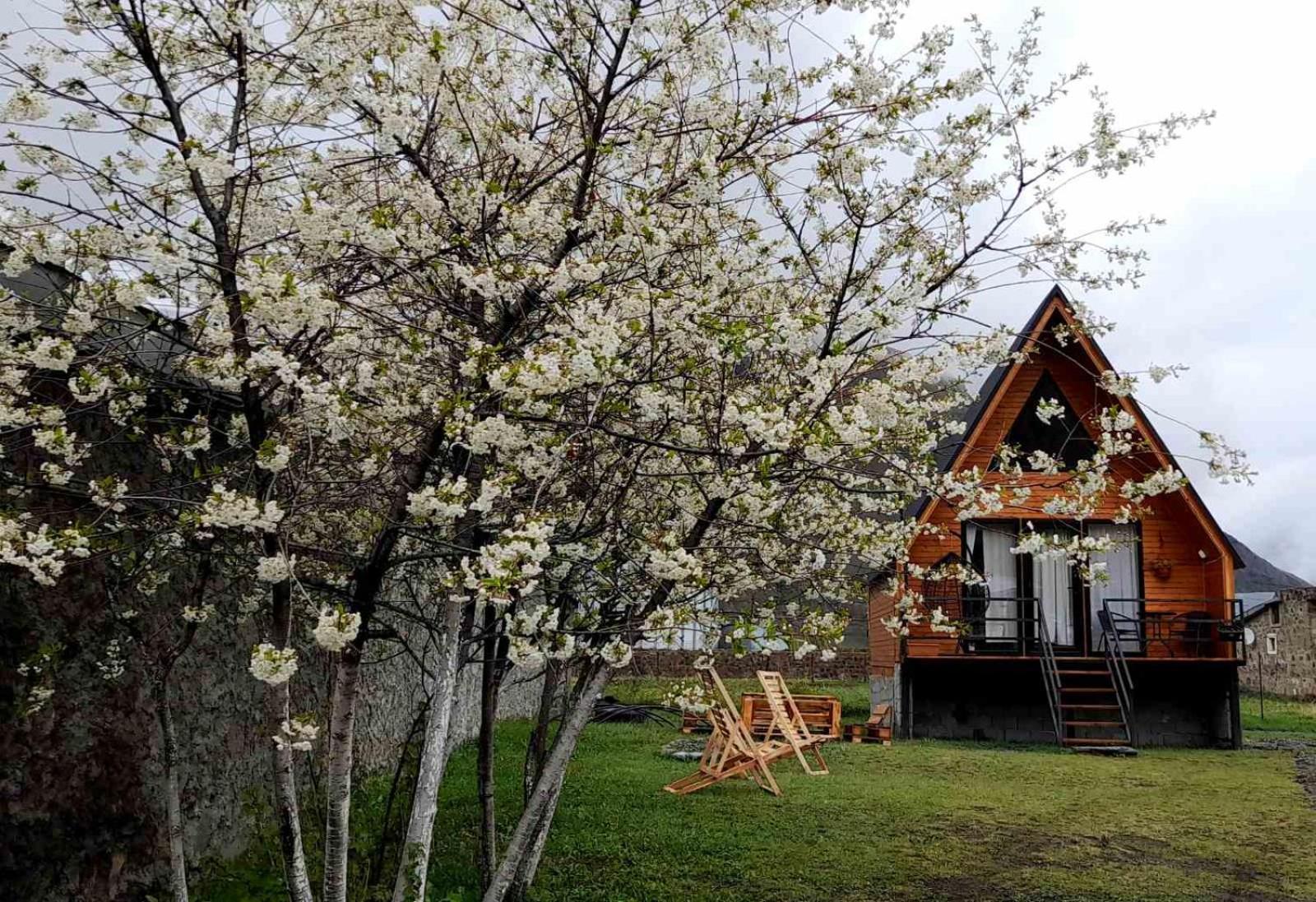 Thomas' Hut Apartment *